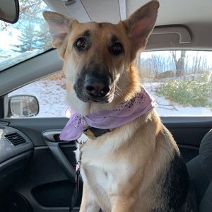 Meet your Posher, Marci